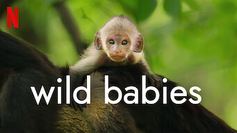 Wild Babies (2022)